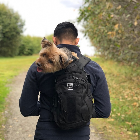 Pups - Picture 6 of 7